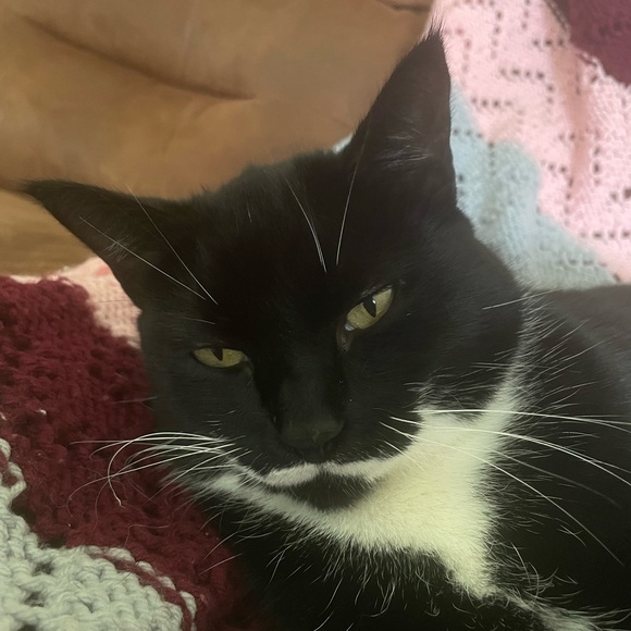 Meet your Posher, Jenn - Picture 3 of 5